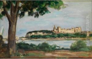 Ansicht Von Avignon