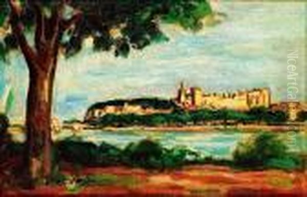 Le Pont D'avignon - view 1