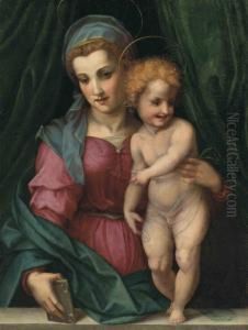 The Madonna And Child by Andrea Del Sarto