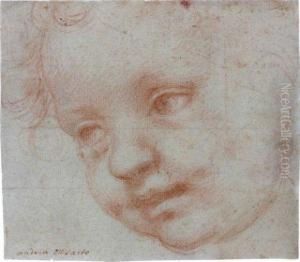 Tete D'enfant Sanguine Tete D'enfant Sanguine