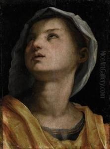 Sant'agnese by Andrea Del Sarto