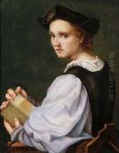Portrait Eines Jungen Mannes by Andrea Del Sarto