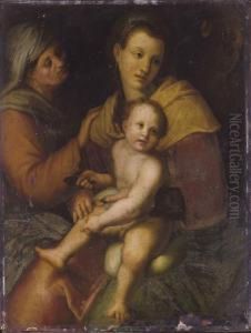 Vierge A L'enfant by Andrea Del Sarto
