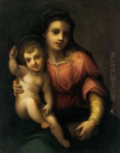 Madonna Col Bambino by Andrea Del Sarto