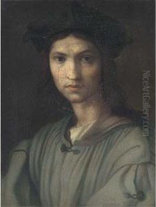 Portrait Of A Young Man, Bust-length by Andrea Del Sarto