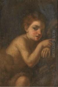 The Infant Saint John The Baptist by Andrea Del Sarto