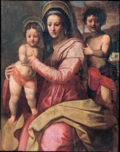 Madonna Con Bambino E San Giovannino by Andrea Del Sarto