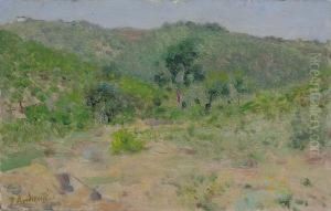 Colline Di Settignano