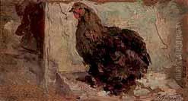 Gallinella - view 1