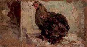 Gallinella Gallinella