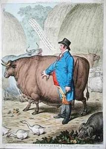 Fat-Cattle