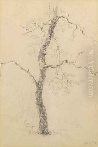 A study of a tree - view 1
