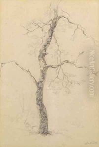 A study of a tree by Paul Joseph Constantine Gabriel