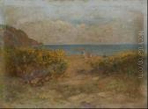 Marina - view 1