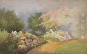 Fiori Lungo Il Sentiero Fiori Lungo Il Sentiero