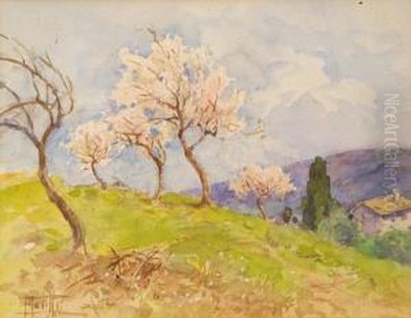 Paesaggio Di Campagna Con Alberi Di Pesco - view 1