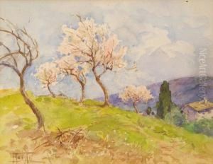 Paesaggio Di Campagna Con Alberi Di Pesco Paesaggio Di Campagna Con Alberi Di Pesco