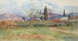Primavera Primavera