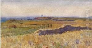 Campagna Romana Con Roma Sullo Sfondo by Filippo Anivitti