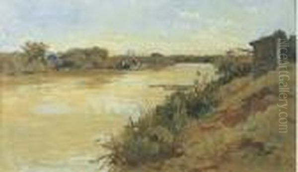 Il Tevere A Fiumicino - view 1