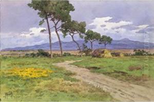 Campagne Romane Campagne Romane