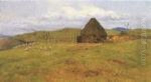 Pascolo Nella Campagna Romana