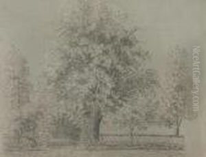 Garden Entrance With Large Tree