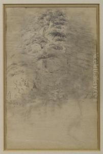 Baumstudie. - view 1