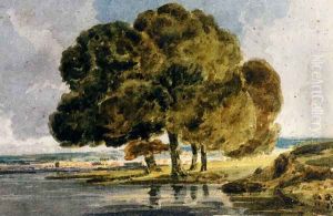 Trees On A Riverbank Trees On A Riverbank