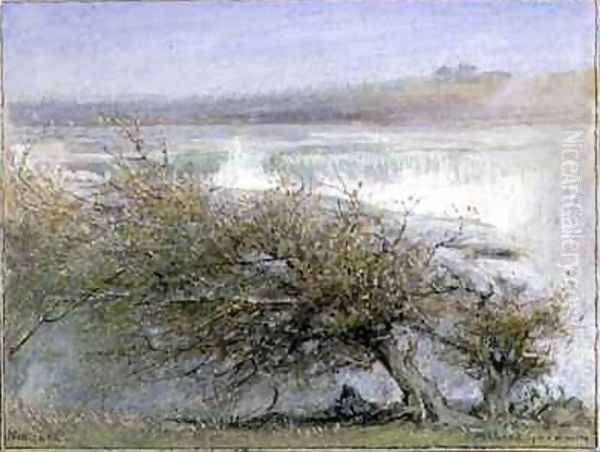 Niagara in Spring - view 1