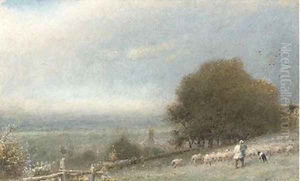 Driving sheep, Winchester - view 1