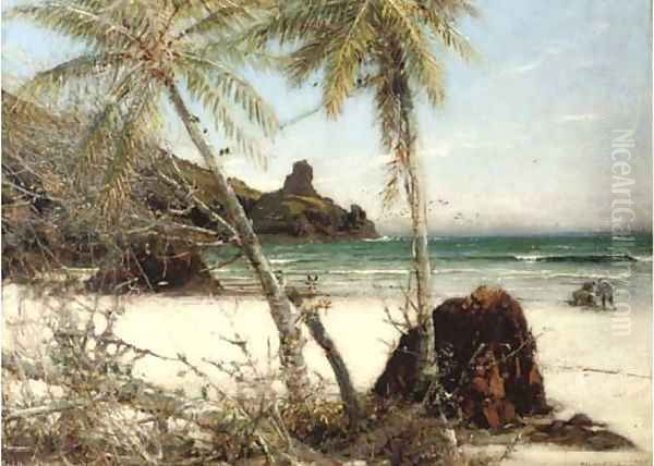 The coral strand - view 1