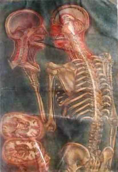 The Brain and the Spinal Chord - view 1
