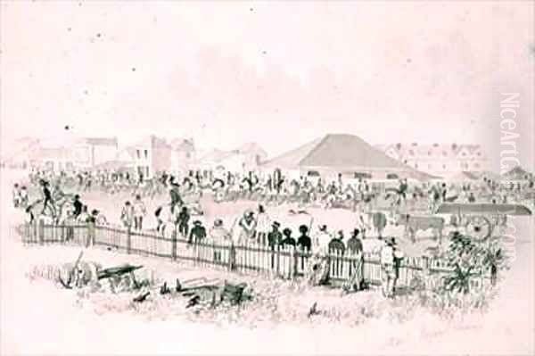 Sturts Expedition - view 1