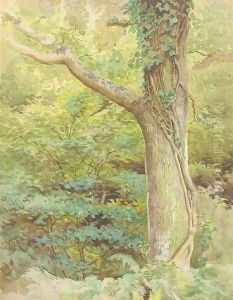 A wooded glade by Kate Greenaway
