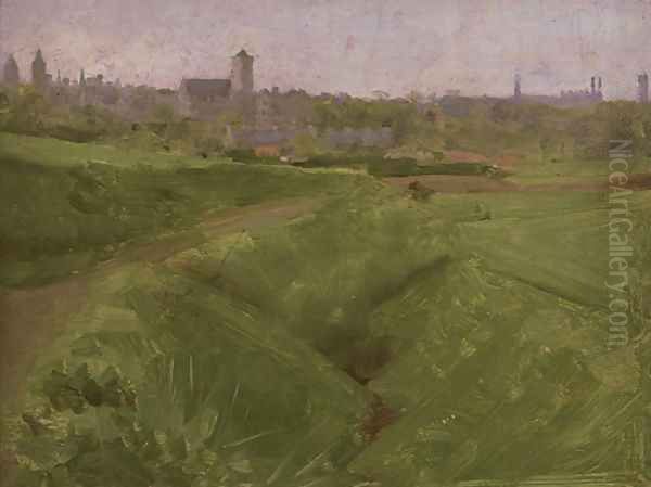 Across the fields - view 1