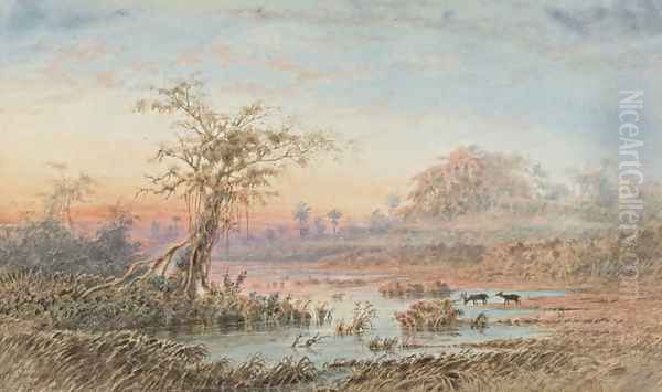 Paisaje de Venezuela - view 1