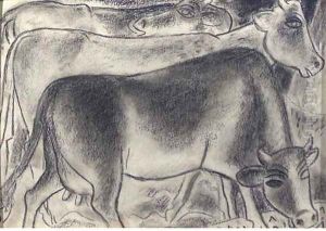 Cows