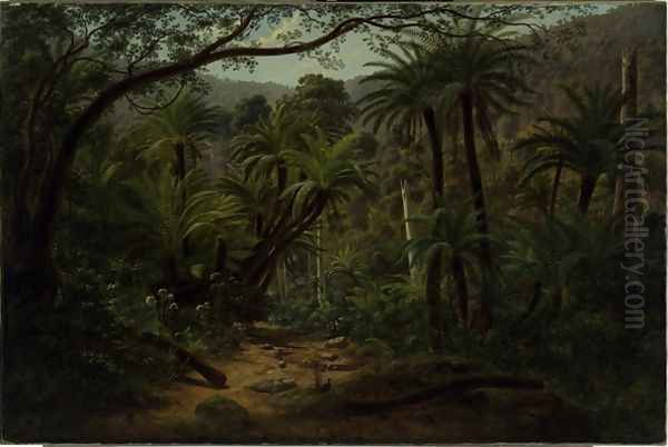 Ferntree Gully in the Dandenong Ranges 2 - view 1