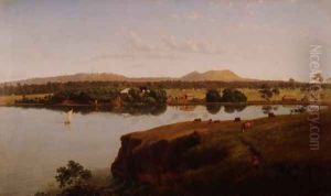 View of Purrumbete Station looking North West Mt Leura and Mt Sugarloaf in the distance Australia