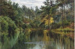A tranquil stretch of the river