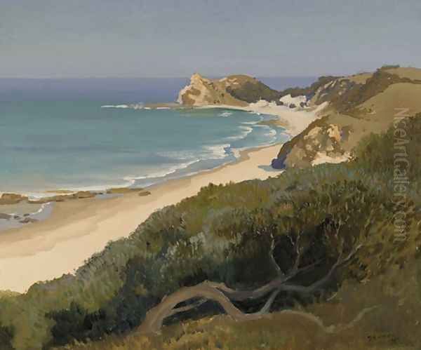 Shelley Beach, New South Wales - view 1