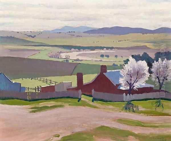 Spring: a Farm and Blossom Trees at Bathurst - view 1