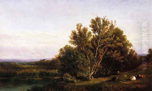 Landscape near Cranbrook - view 1