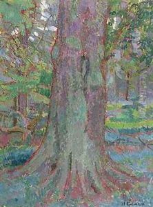 Tree Trunk