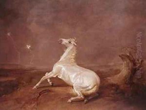 Mad Horse by Sawrey Gilpin
