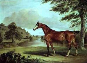 Bay Hunter in a Wooded Landscape with River