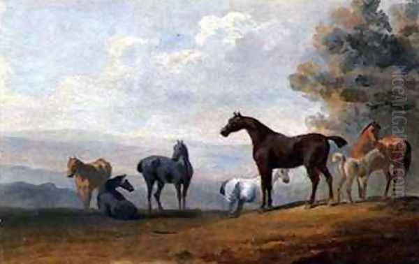 Horses - view 1