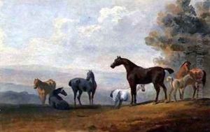 Horses by Sawrey Gilpin