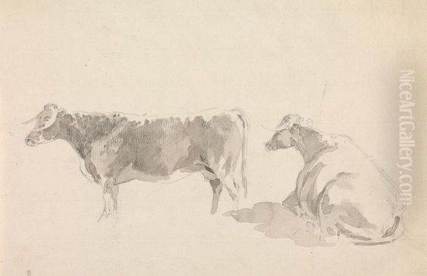 Studies of Cattle - view 1